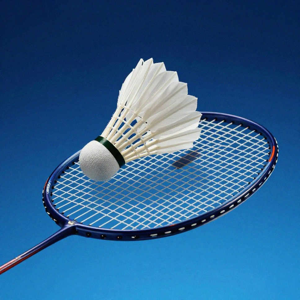 One Asset, One Medal: Why India's Badminton Fell from Three Podiums to One at Aichi-Nagoya 2026 One Asset, One Medal: Why India's Badminton Fell from Three Podiums to One at Aichi-Nagoya 2026