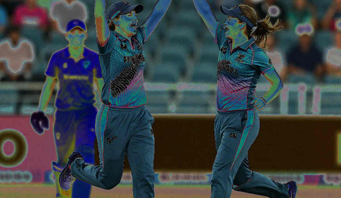 The Null Return: What an Empty Cricket Analysis Says About the Game's Information Ledger