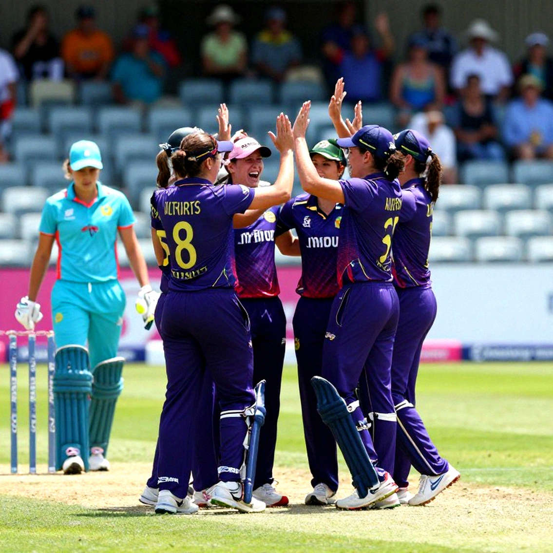 The Empty Payload: When Cricket Data Lies, Blockchain Becomes the Last Refuge The Empty Payload: When Cricket Data Lies, Blockchain Becomes the Last Refuge